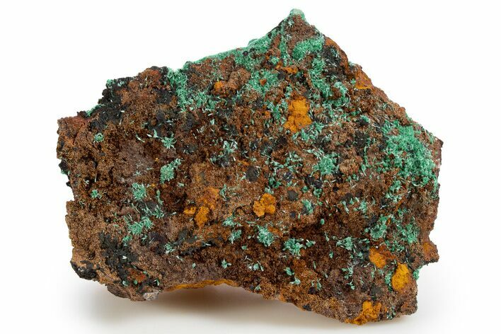Fibrous Malachite on Limonite Matrix - Mexico #330587